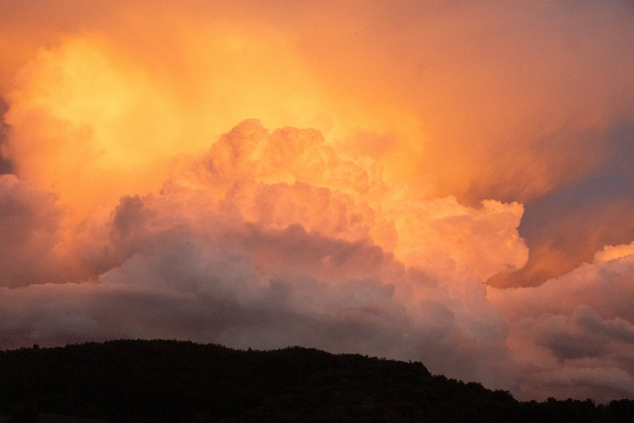 How Do I Connect With Nature?