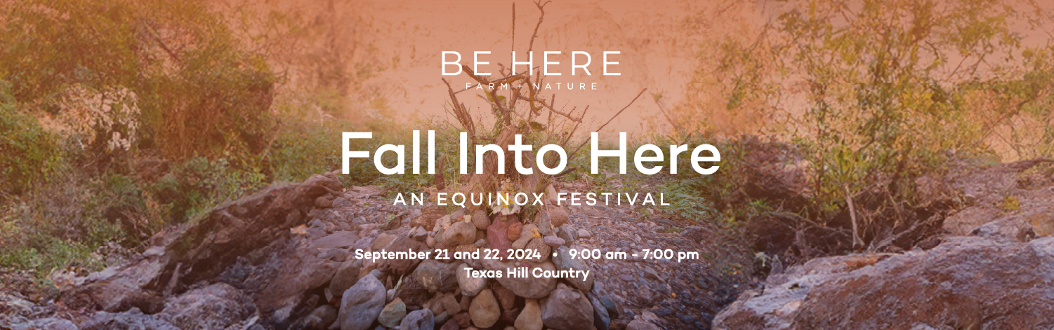 Fall into Here 2024 (CLOSED)