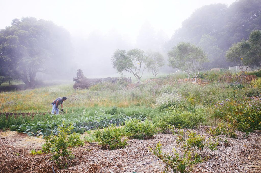 Why we dropped Organic and Biodynamic certifications