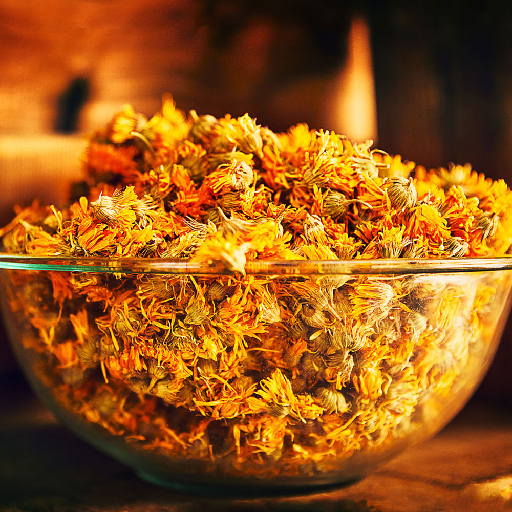 Why Hand-Grown and Hand-Made Skincare is the Future